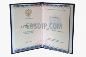 аттестат 11 класс