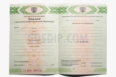 диплом пту 2011, 2012, 2013